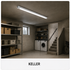 Beleuchteter Keller mit Feuchtraumleuchte