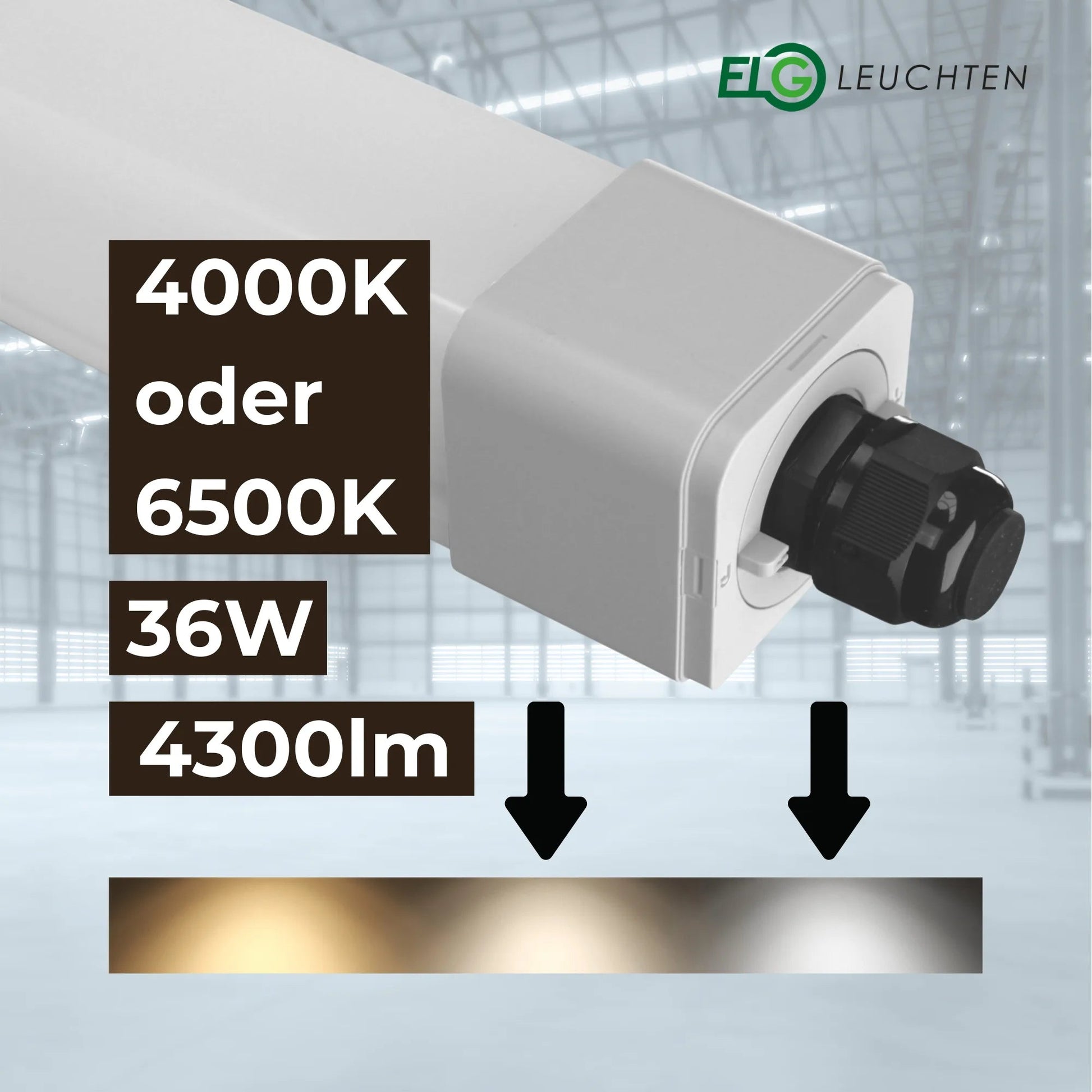 LED Feuchtraumleuchte 120cm 4000K oder 6500K 36W 4300lm IP66 - ELG Leuchten