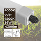 LED Feuchtraumleuchte Stallleuchte 120cm 4000K oder 6500K 36W 4300lm IP66 dlg anerkannt ammoniakbeständig - ELG Leuchten