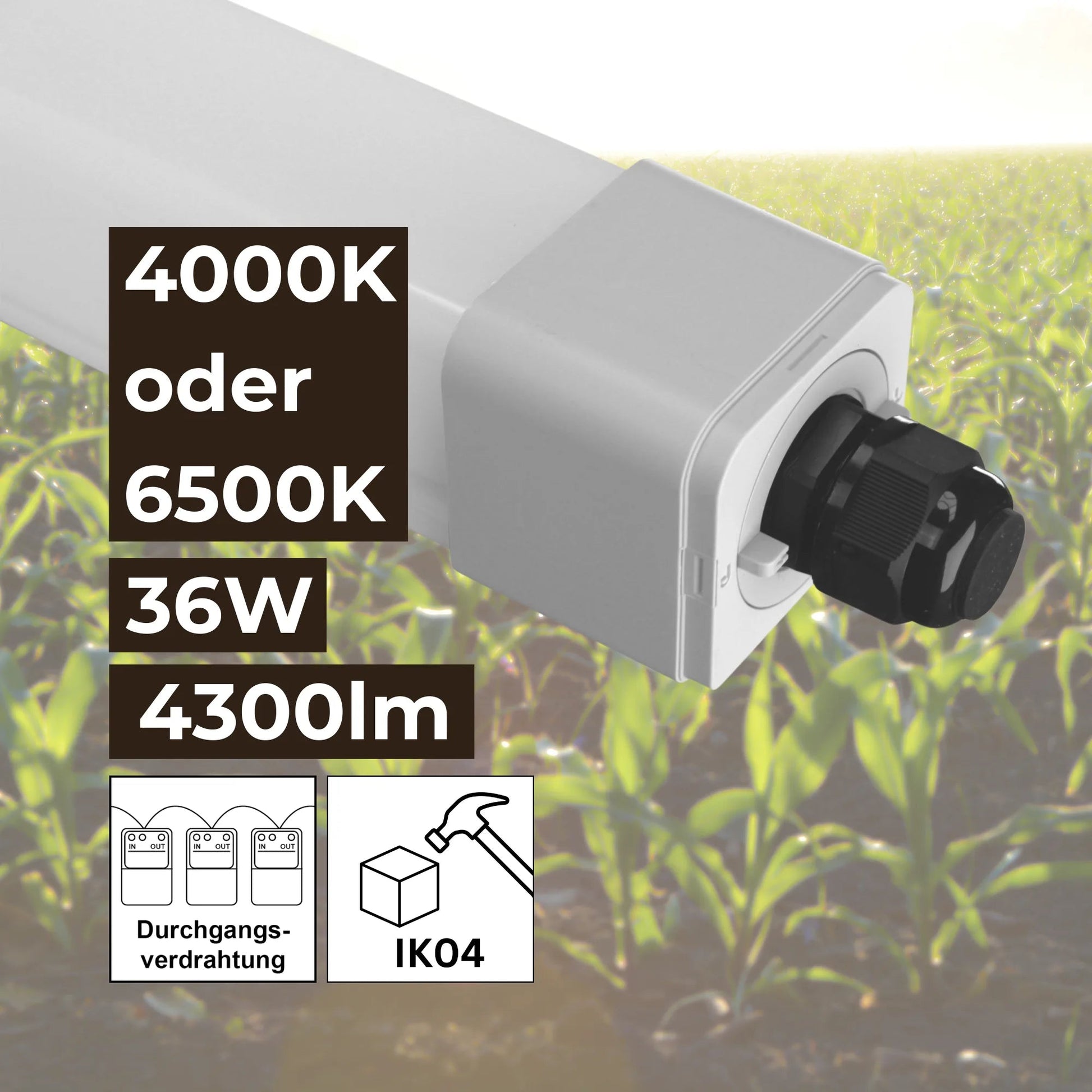 LED Feuchtraumleuchte Stallleuchte 120cm 4000K oder 6500K 36W 4300lm IP66 dlg anerkannt ammoniakbeständig - ELG Leuchten
