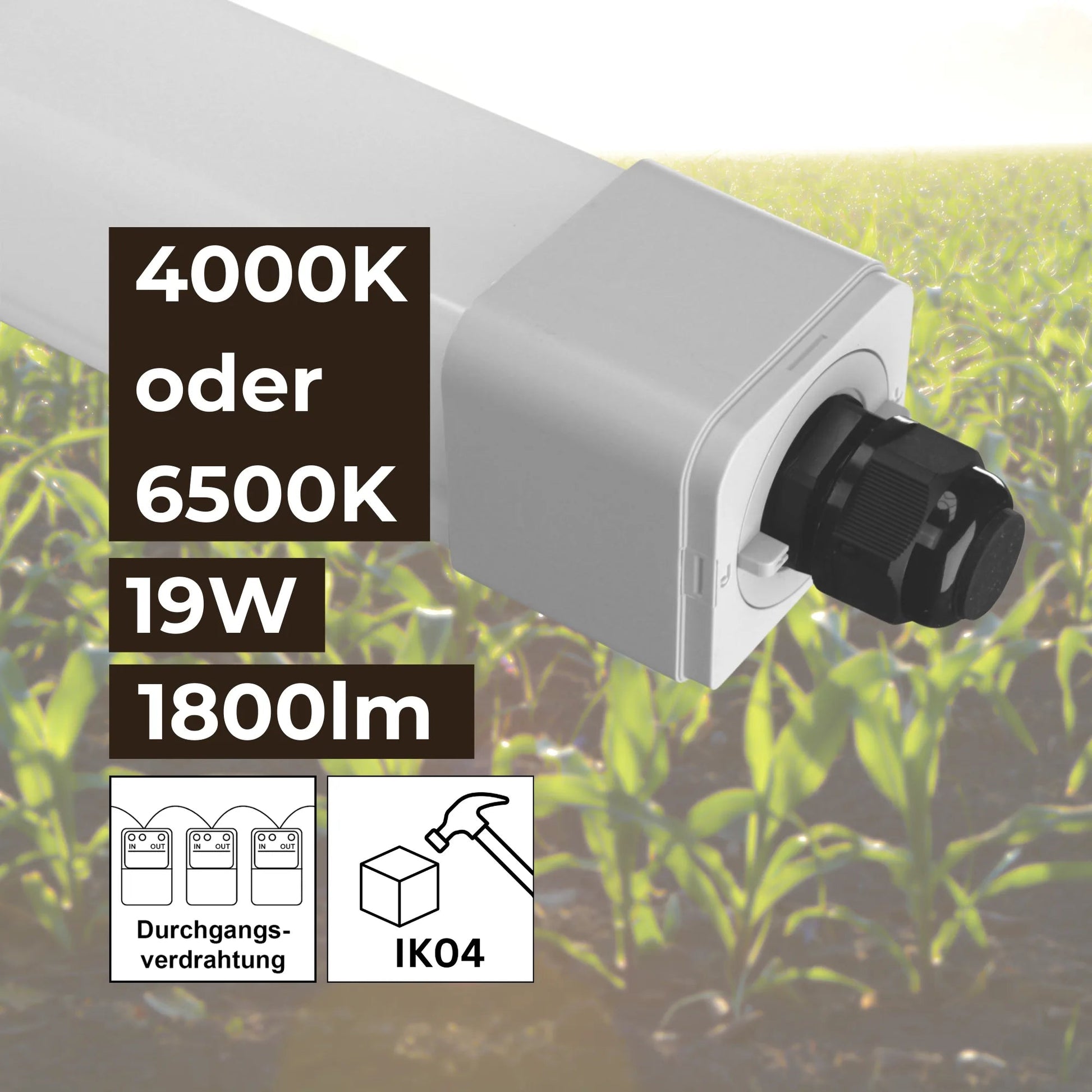 LED Feuchtraumleuchte Stallleuchte 60cm 4000K oder 6500K 19W 1800lm IP66 dlg anerkannt ammoniakbeständig - ELG Leuchten