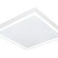 LED Panel 62x62 Backlit, Einlegeleuchte, Deckenleuchte, 62x62cm, Rasterdeckenleuchte, 3000K/4000K (DIP - Schalter), 5320 Lumen, 38 Watt (inkl. Treiber) - ELG Leuchten
