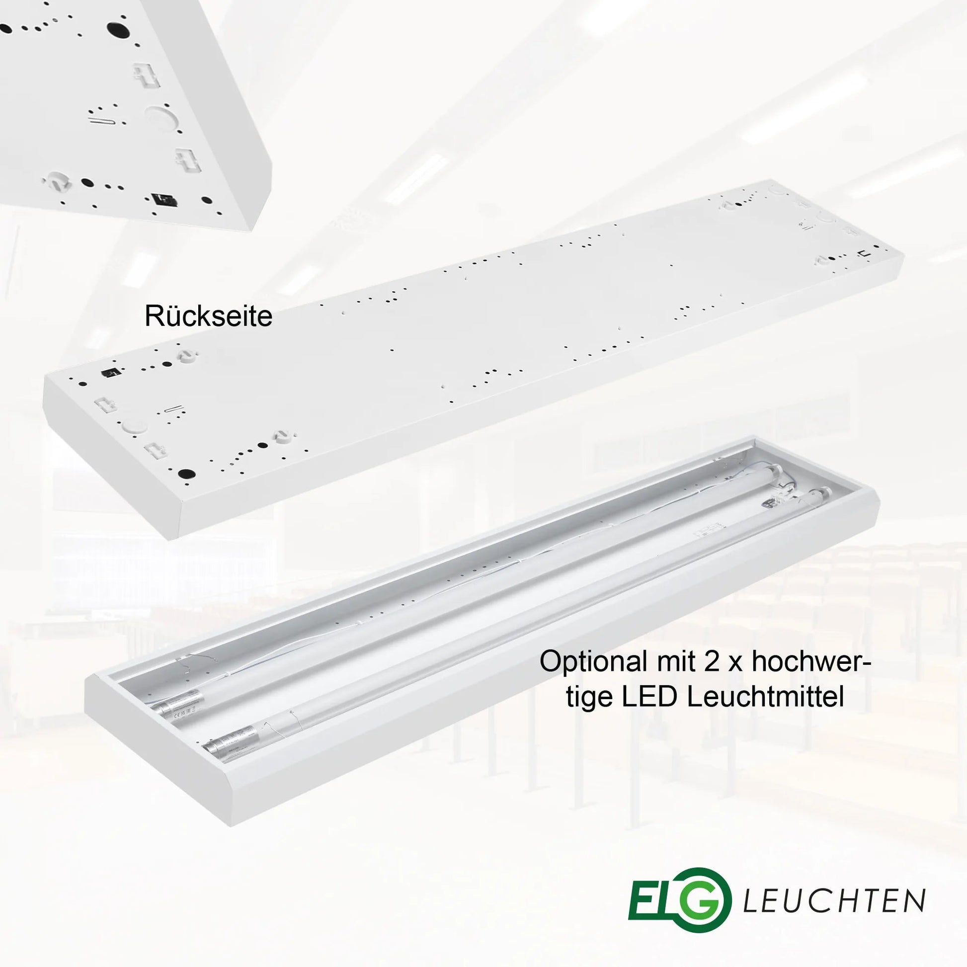 LED Rasteranbauleuchte Single - Raster, 120cm, 2 - flammig, vorverdrahtet für LED Röhren - ELG Leuchten