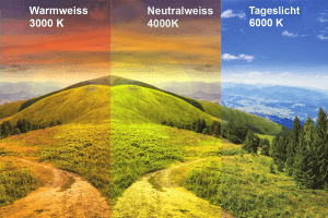 Farbtemperatur bestimmen Neutralweiß Kaltweiß und Warmweiß